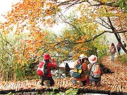 Plitvi�ka jezera